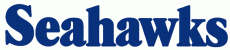 Seattle Seahawks 1976-2001 Wordmark Logo heat sticker