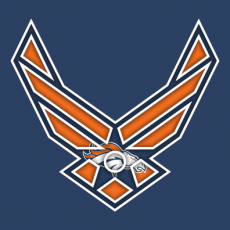 Airforce Denver Broncos Logo heat sticker