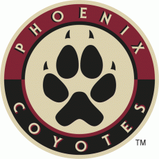 Arizona Coyotes 2008 09-2013 14 Alternate Logo heat sticker