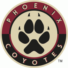 Arizona Coyotes 2008 09-2013 14 Alternate Logo custom vinyl decal