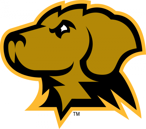 UMBC Retrievers 2010-Pres Secondary Logo heat sticker