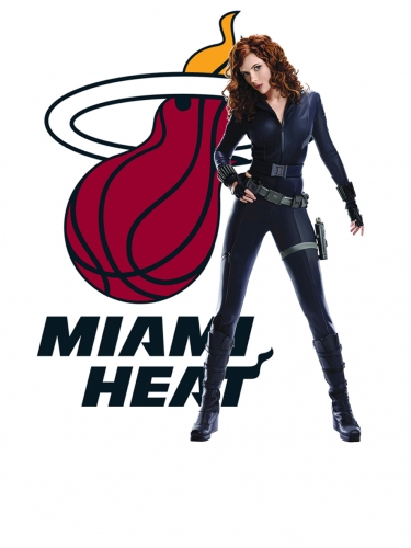 Miami Heat Black Widow Logo heat sticker