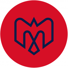 Montreal Alouettes 2019-Pres Alternate Logo 2 custom vinyl decal