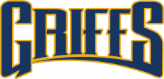 Canisius Golden Griffins 2006-Pres Wordmark Logo 02 heat sticker