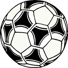 Soccer Heat Sticker