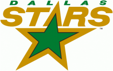 Dallas Stars 1993 94 Primary Logo heat sticker
