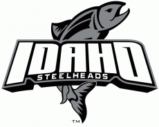 Idaho Steelheads 2008 09-Pres Alternate Logo heat sticker