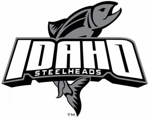 Idaho Steelheads 2008 09-Pres Alternate Logo custom vinyl decal