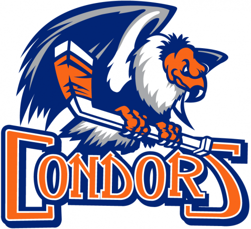 Bakersfield Condors 2015-2018 Primary Logo heat sticker