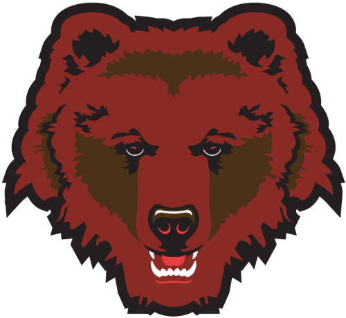 Brown Bears 1997-Pres Partial Logo heat sticker