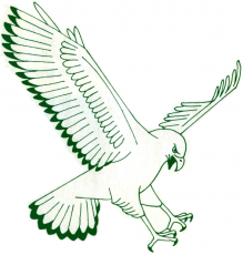 NC-Wilmington Seahawks 1977-1985 Primary Logo heat sticker