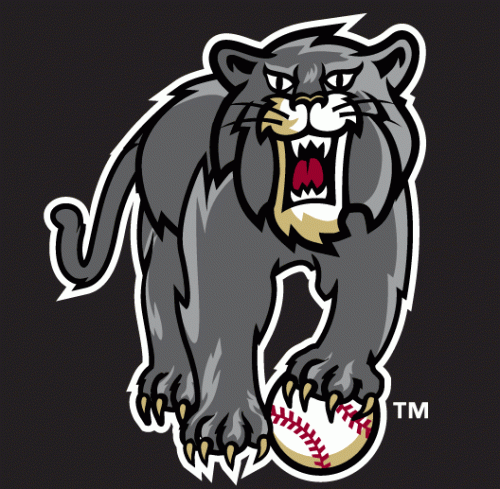 Sacramento River Cats 2005 Unused Logo heat sticker