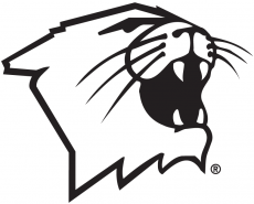 Northwestern Wildcats 1981-Pres Partial Logo 02 heat sticker
