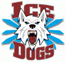 Fairbanks Ice Dogs 2003 04-Pres Primary Logo custom vinyl decal