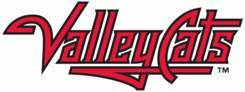 Tri-City Valleycats 2002-Pres Wordmark Logo heat sticker