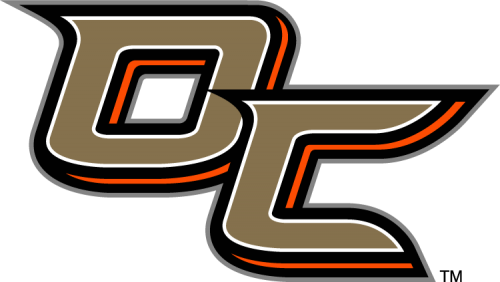 Anaheim Ducks 2013 14 Special Event Logo 02 custom vinyl decal