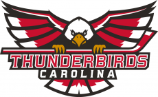 Carolina Thunderbirds 2017 18-Pres Primary Logo custom vinyl decal