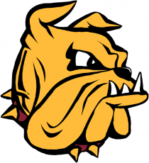 Minnesota-Duluth Bulldogs 1996-Pres Secondary Logo heat sticker