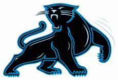 Carolina Panthers 1995-2011 Alternate Logo 01 heat sticker