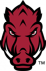 Arkansas Razorbacks 2014-Pres Secondary Logo 02 custom vinyl decal