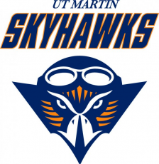 Tennessee-Martin Skyhawks 2009-Pres Primary Logo heat sticker