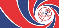 007 New York Yankees logo custom vinyl decal
