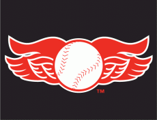 Rochester Red Wings 2008-2013 Cap Logo heat sticker