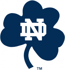Notre Dame Fighting Irish 1994-Pres Alternate Logo 08 custom vinyl decal