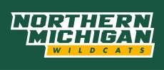 Northern Michigan Wildcats 2016-Pres Wordmark Logo custom vinyl decal