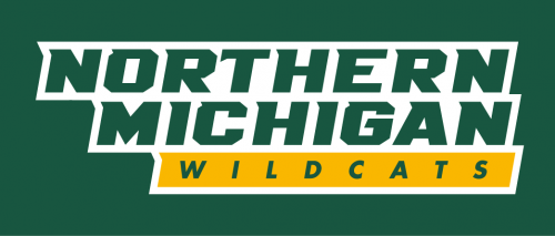 Northern Michigan Wildcats 2016-Pres Wordmark Logo heat sticker