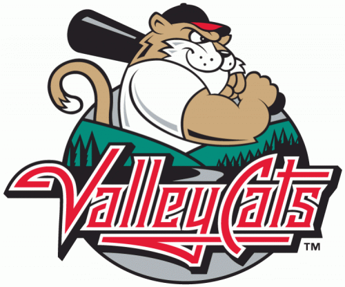 Tri-City Valleycats 2002-Pres Primary Logo heat sticker