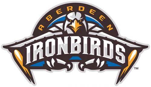 Aberdeen IronBirds 2013-Pres Primary Logo heat sticker