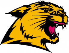 Northern Michigan Wildcats 1993-2015 Secondary Logo custom vinyl decal