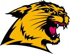 Northern Michigan Wildcats 1993-2015 Secondary Logo heat sticker