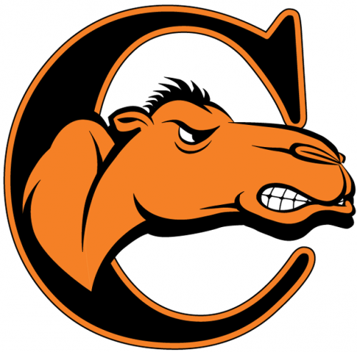 Campbell Fighting Camels 2008-Pres Alternate Logo 02 custom vinyl decal