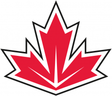 World Cup of Hockey 2016-2017 Team 06 Logo custom vinyl decal