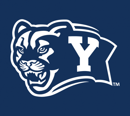 Brigham Young Cougars 2005-Pres Alternate Logo 02 custom vinyl decal