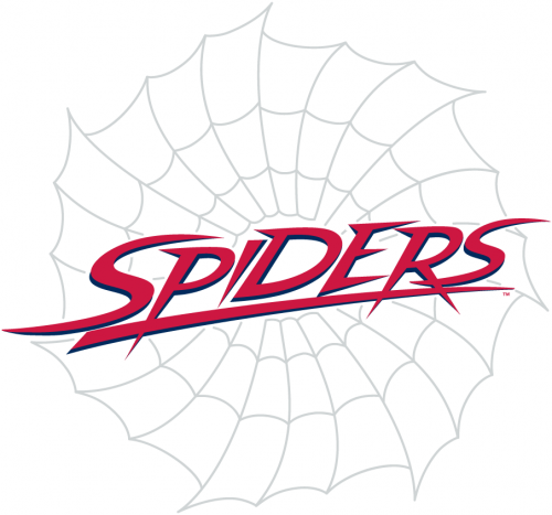 Richmond Spiders 2002-Pres Wordmark Logo 03 custom vinyl decal