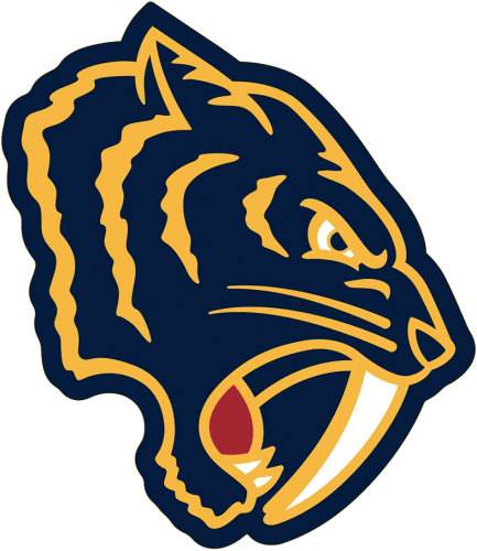 Nashville Predators 2019 20 Special Event Logo heat sticker