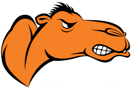 Campbell Fighting Camels 2005-Pres Partial Logo custom vinyl decal