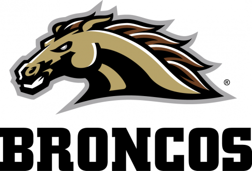 Western Michigan Broncos 2016-Pres Alternate Logo heat sticker