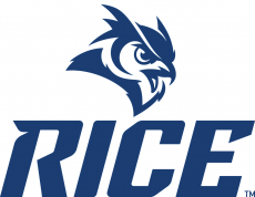 Rice Owls 2017-Pres Alternate Logo heat sticker