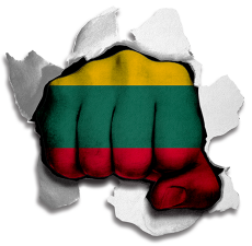 Fist Lithuania Flag Logo heat sticker