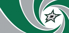 007 Dallas Stars logo heat sticker
