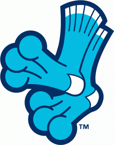 Everett AquaSox 2010-Pres Alternate Logo heat sticker