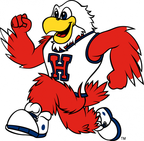 Hartford Hawks 1995-Pres Mascot Logo 08 custom vinyl decal