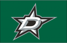 Dallas Stars 2013 14-Pres Jersey Logo 02 heat sticker