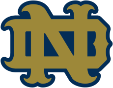 Notre Dame Fighting Irish 1994-Pres Alternate Logo 17 custom vinyl decal