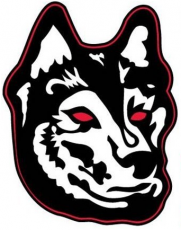 Northeastern Huskies 2007-Pres Alternate Logo 02 heat sticker
