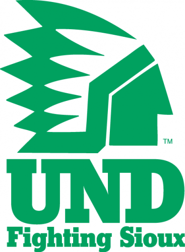 North Dakota Fighting Hawks 1976-1999 Alternate Logo 01 custom vinyl decal